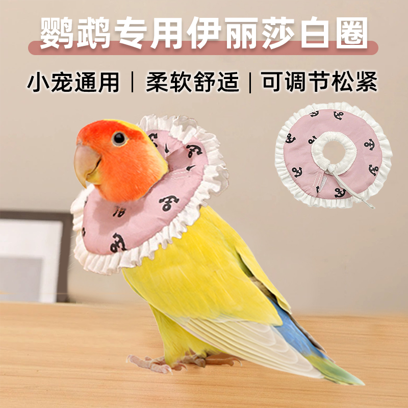 鹦鹉专用小宠伊丽莎白圈仓鼠荷兰猪松鼠防舔防护圈金丝熊护理圈