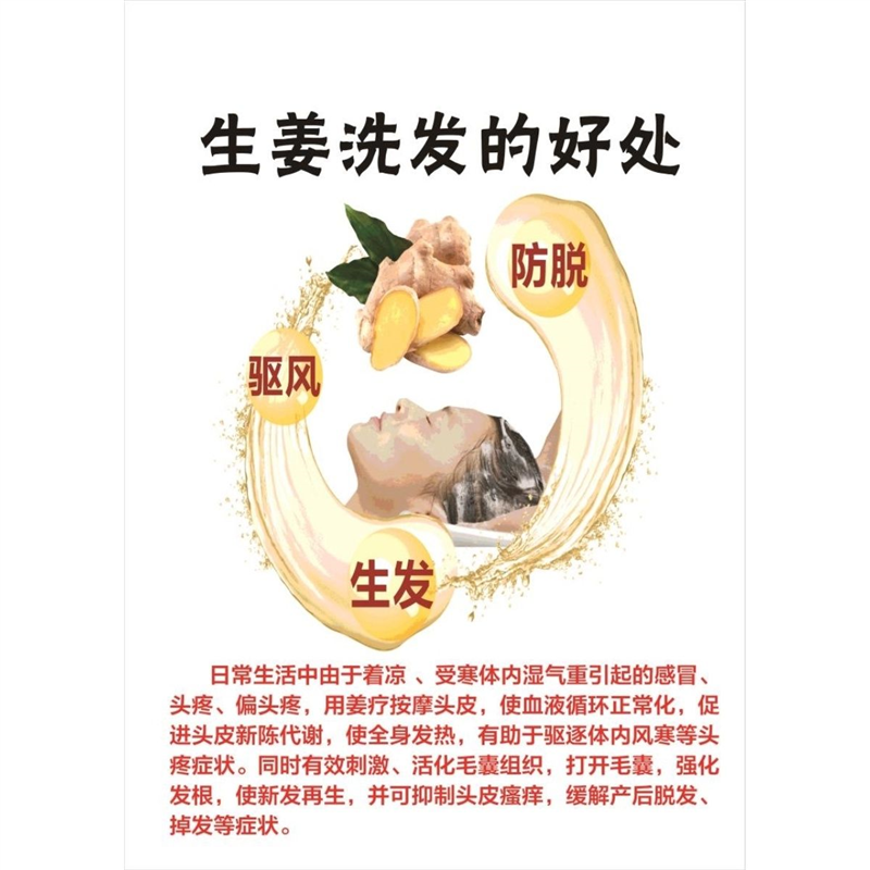 生姜洗发好处墙贴中药养发海报宣传图养发馆宣传姜疗养生图片挂图
