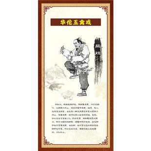 五禽戏八段锦挂图宣传画传统健身气功海报中医养生文化图片墙贴五