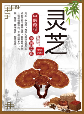 灵芝野生中华名贵中海报展板灵芝的功效作用野生赤灵芝的功效墙贴