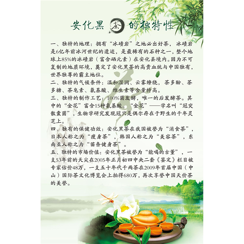 安化黑茶海报展示板黑茶的功效安化黑茶的独特性墙贴纸