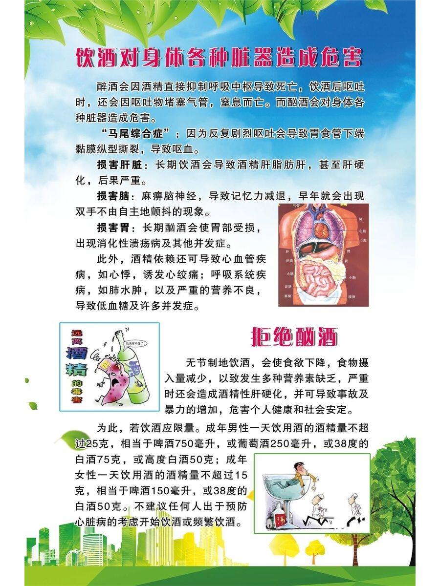 饮酒对身体各种脏器造成危害海报展板几招降低喝酒伤害墙贴墙纸