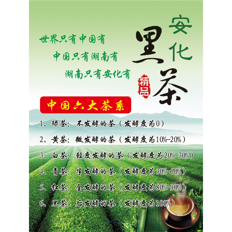 安化黑茶九大保健功效海报展板神奇的安化黑茶墙贴墙纸装饰画KT板
