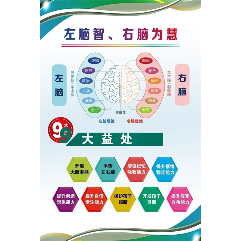 左脑智、右脑为慧 海报左右脑功能图 贴纸 人类才能有、递减法则