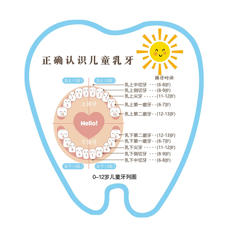 牙科诊所儿童换牙顺序图贴画牙科宣传海报爱牙日墙贴海报装饰画牙