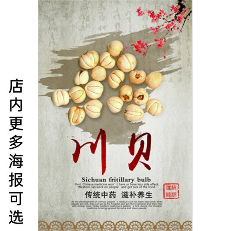 川贝中药名贵药材功效说明贴纸海报药房中医养生报挂图24