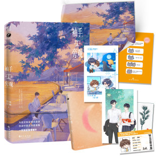 正版现货 袖手旁观 清明谷雨· 双男主甜文青春小说实体书 新增番外并肩