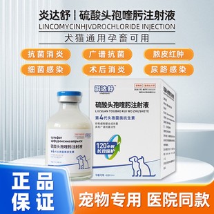 炎达舒硫酸头孢噫肟注射液50ml犬猫通用抗菌消炎广谱抗菌宠物用药