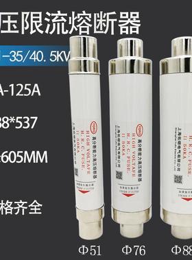 XRNT-35KVXRNT1-40.5KV/50A63A80A100A125A高压限流熔断器