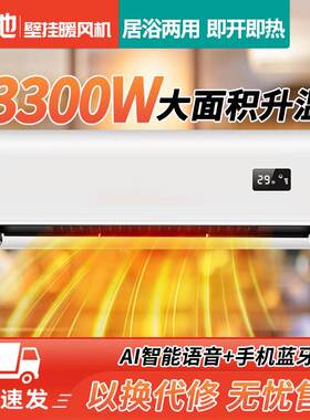 取暖器壁挂式暖风机家用大功率定时电暖气速热浴室防水免打孔