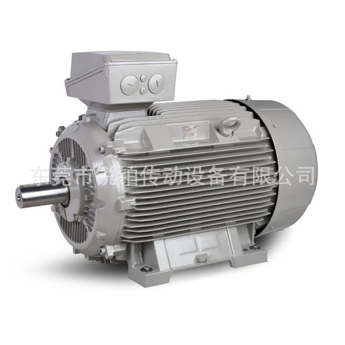 Rotor电动机荷兰原装 5RN90L  6RN100L铸铁铝壳IE1 IE2 IE3马达
