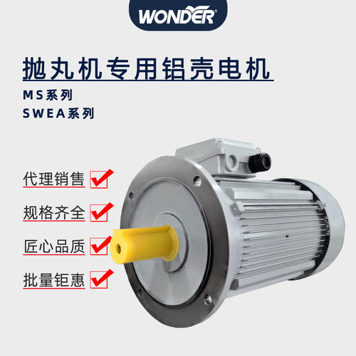抛丸机电机 WONDER万德万达电动机MS132 SWEA132 380V 11KW铝壳