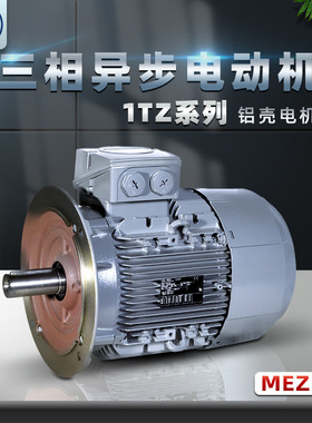 LAMMERS同款德国MEZ三相异步感应电动机1TZ9系列1.5KW铝壳立式7AA