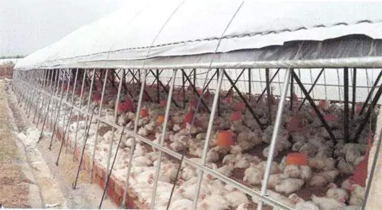 养殖大棚全套设备养鸡鸭鹅专用大棚骨架搭O建鸡舍猪舍大棚钢管