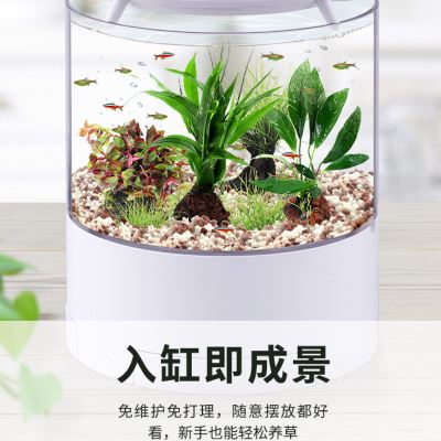 迷你生态鱼缸造景套餐全套锦鲤缸大型水草热带雨林缸植物缸景景观