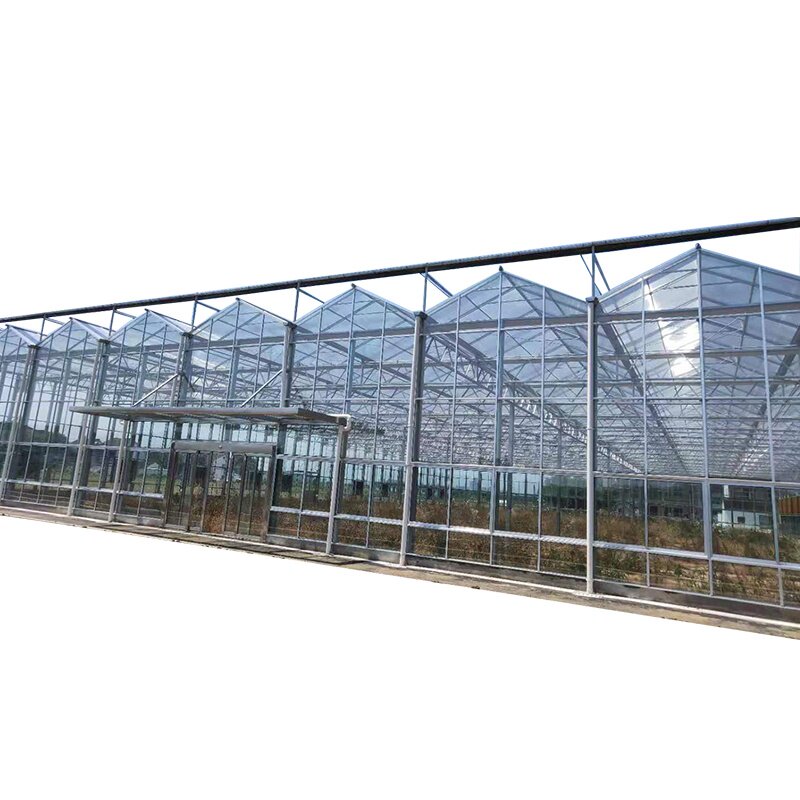 新品玻璃蔬菜大棚温室p大棚 全套 花卉 种菜大棚架子骨架钢管定制