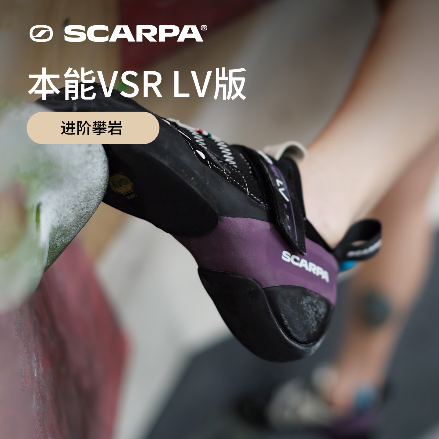 紫色新品SCARPA思嘉帕INSTINCT本能VSR攀岩鞋LV版防滑抱石鞋男女