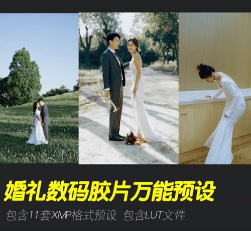11款婚礼预设猫胡子胶片纪实婚礼跟拍LR预设电影人像PR调色PS滤镜