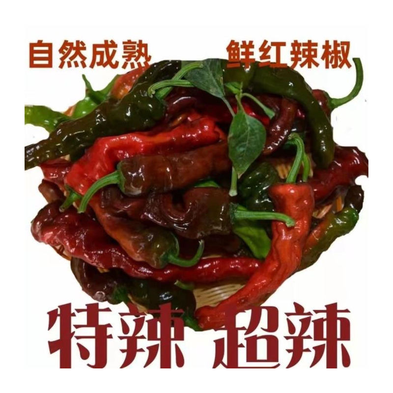 山西晋城特产陵川牛肉丸附城回民厂伊仟清真肉丸子干吃煮汤火锅丸