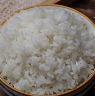 粮伯伯五常大米5kg东北黑龙江农家原粮稻花香2号2024年新米美味家