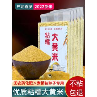 23年新米粘糯大黄米新米糯小米黄米包粽子专用米软米黍米黄糯黏米