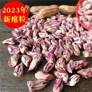 2023年新花生瘪花生米零食七彩瘪花生1斤小秕粒七彩花生云南特产