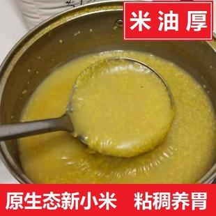 一件2斤 2023新小米山西特产黄小米粗粮沁州黄小黄米糯小米粥