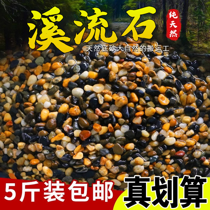 鱼缸底砂造景沙石摆件铺底天然生态溪流石乌龟缸石火山石专用石头
