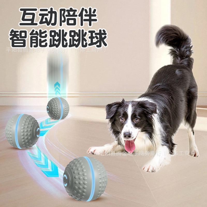 跨境逗球 滚球智能狗玩具宠物品宠AA-01物玩具滚狗狗用迷你自动宠图片