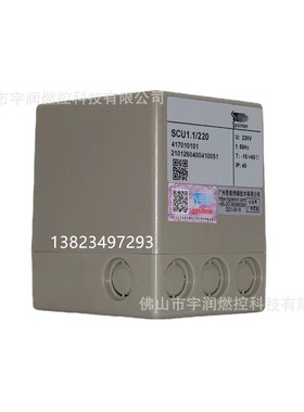 施能SINON火焰监测器SCU1.1/220 火焰控制器 火焰信号放大器IEW15