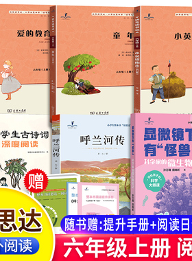2025秋版读思达六年级上册下册小英雄雨来童年爱的教育呼兰河传显微镜下有怪兽汤姆索亚历险记鲁滨逊漂流记非法智慧古诗词深度阅读
