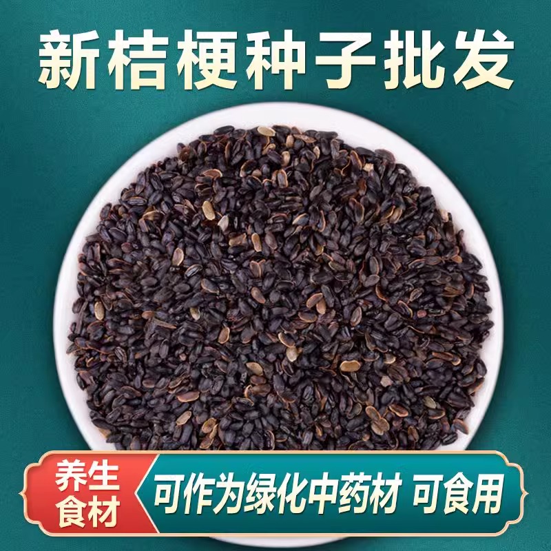 中药材桔梗种子桔梗籽四季种植
