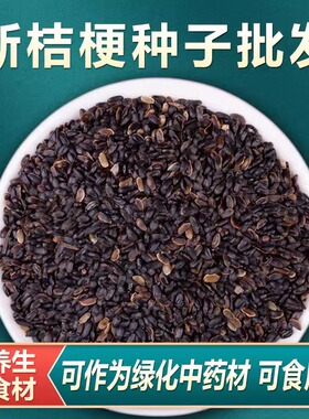 中药材桔梗种子桔梗籽四季种植桔梗苗狗宝咸菜泡菜盆栽可药用食用