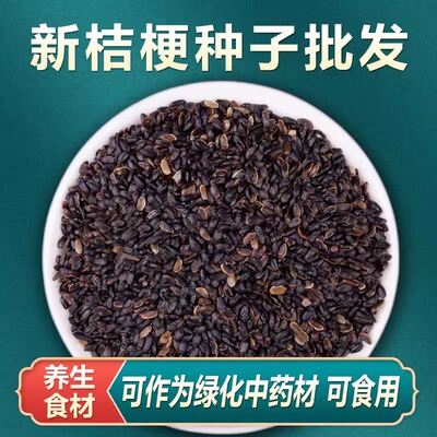 中药材桔梗种子桔梗籽四季种植
