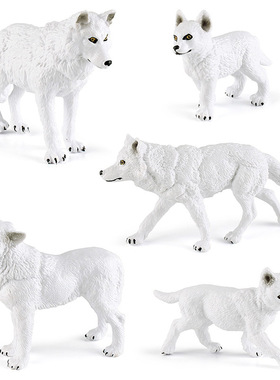 亚马逊仿真动物北极狼模型儿童科教认知白狼静态装饰摆件玩具