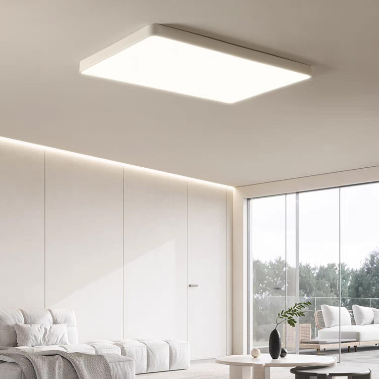 单色光无缝简约大气吸顶灯