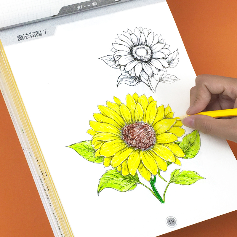 儿童线稿临摹描线画画本