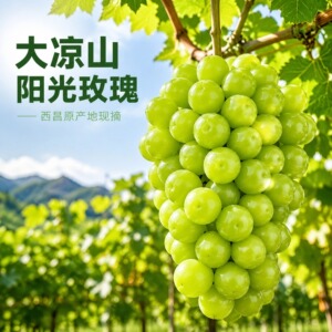 四川大凉山阳光玫瑰葡萄