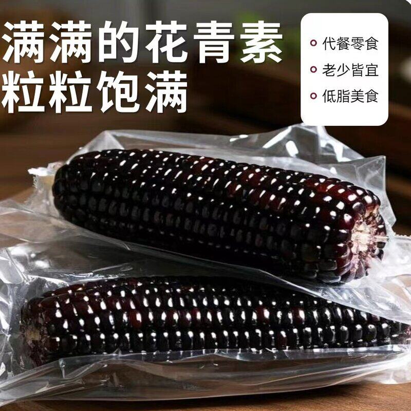 玉米之乡青冈黑糯玉米低脂代餐脂肪满满花青素真空包装早餐粗粮