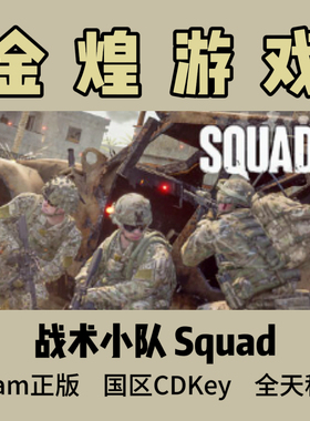 战术小队 Steam正版CDK Squad 国区 激活码 现货秒发
