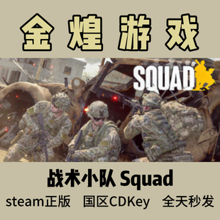 国区 Squad CDK 战术小队 激活码 Steam正版 现货秒发