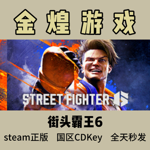 Steam正版 6国区激活码 CDK Fighter cdk Street 街头霸王6