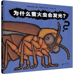 绘本 精装 魔法象.图画书国王：为什么萤火虫会发光 9787559832443 社 广西师范大学出版 文