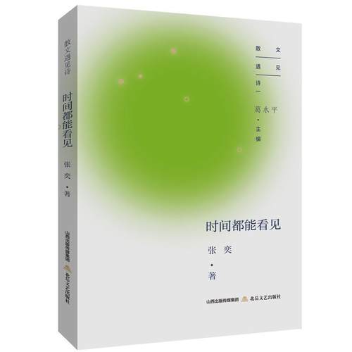 【文】 时间都能看见 9787537870856 北岳文艺出版社