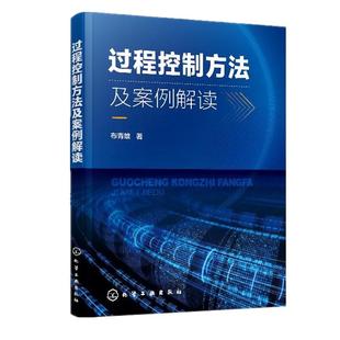过程控制方法及案例解读 布青雄 著 过程控制方法书籍 过程控制框架 过程控制点控制与评价 过程结果评价 生产*域和工程*域参考
