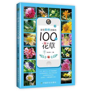 文 中国农业出版 拍客青睐 9787109203556 社8 100种花草