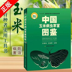 中国玉米病虫草害图鉴 农作物种植玉米农业种植技术大全苞米玉米苗种植病虫害防治书