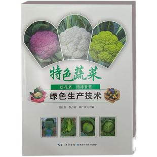 结球甘蓝绿色生产技术9787570632732书籍 特色蔬菜松花菜 书