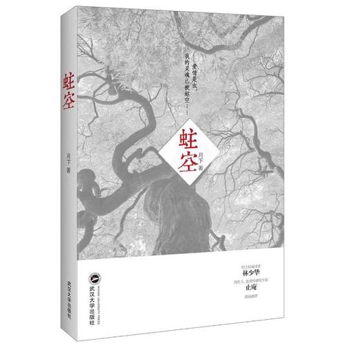 【文】 蛀空 9787307169333 武汉大学出版社