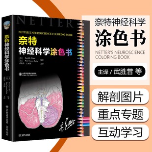 【书】奈特神经科学涂色书 亚周 等主译 9787572310836 山东科学技术出版社 脑室脑脊液和血管系统 神经元及其性质书籍